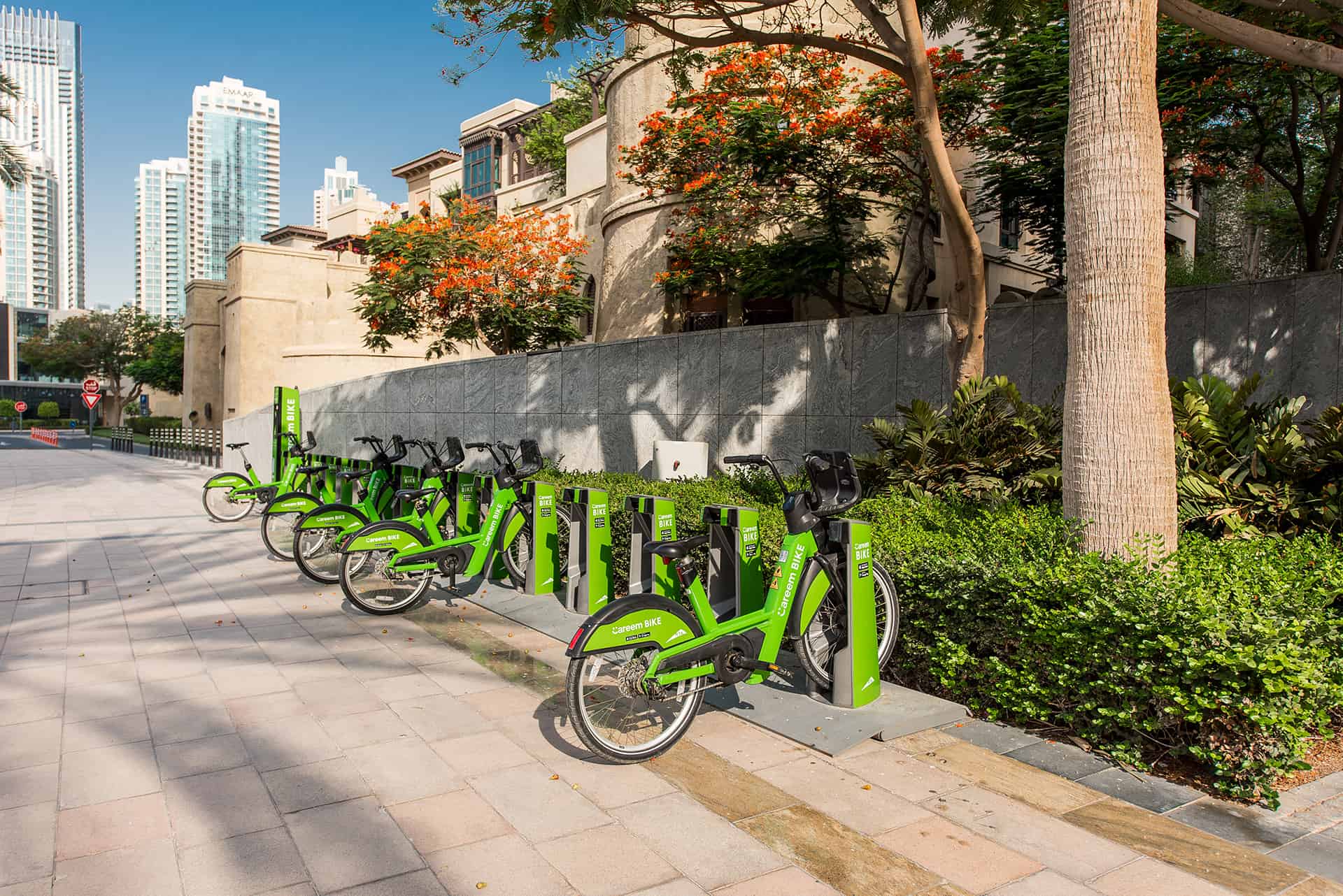 velo dubai velo dubai