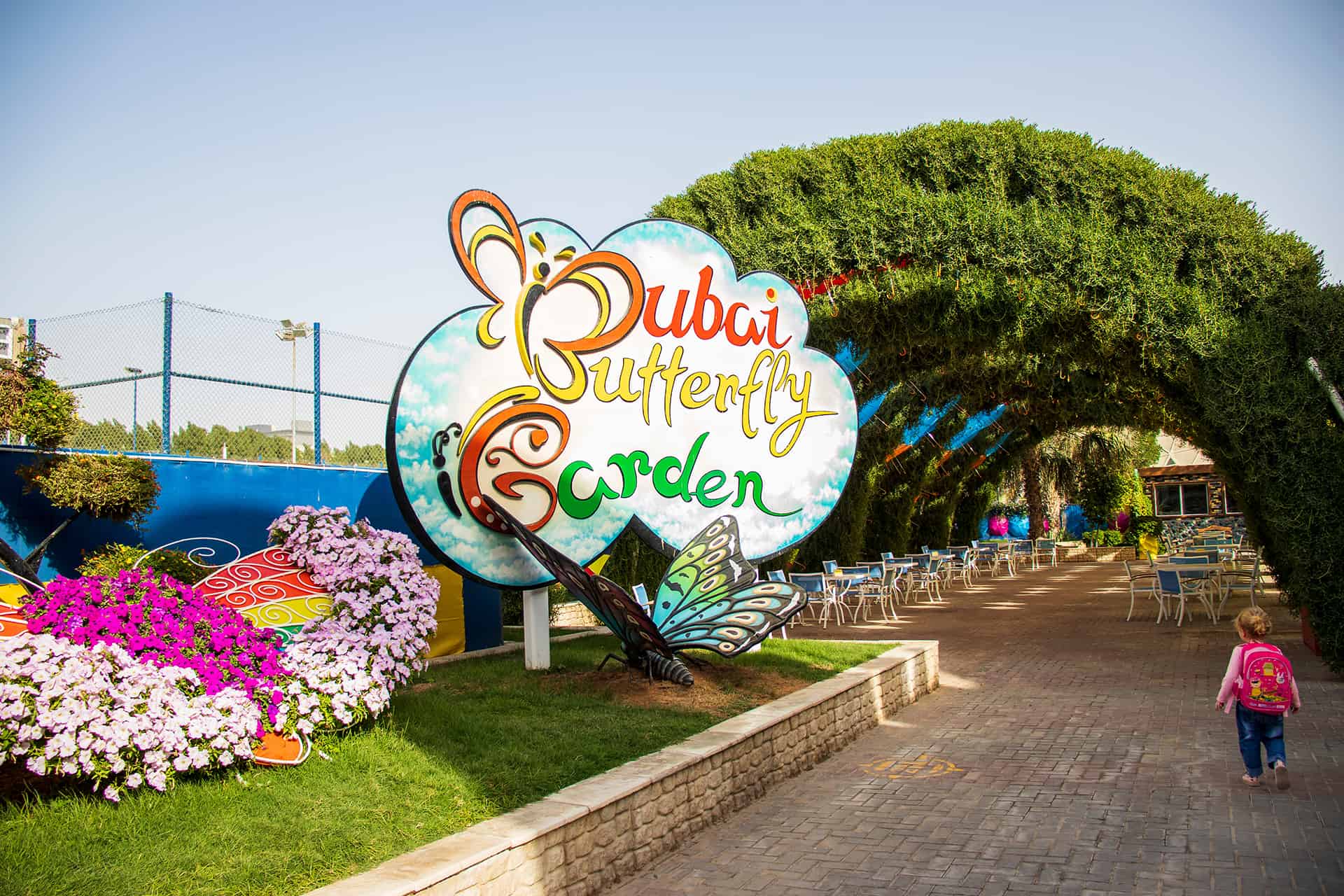 butterfly garden dubai butterfly garden dubai