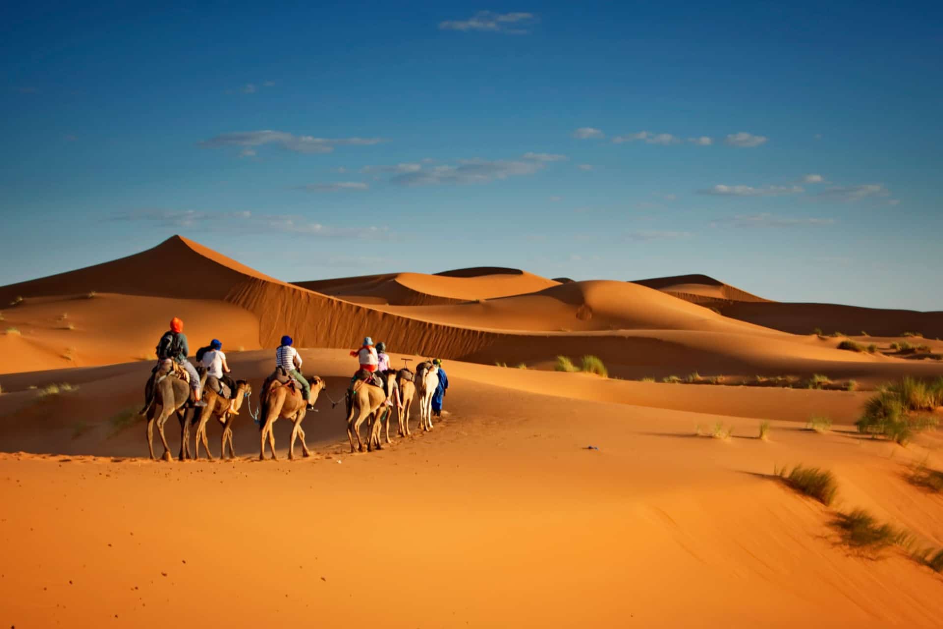 activites a faire a dubai activites a faire a dubai