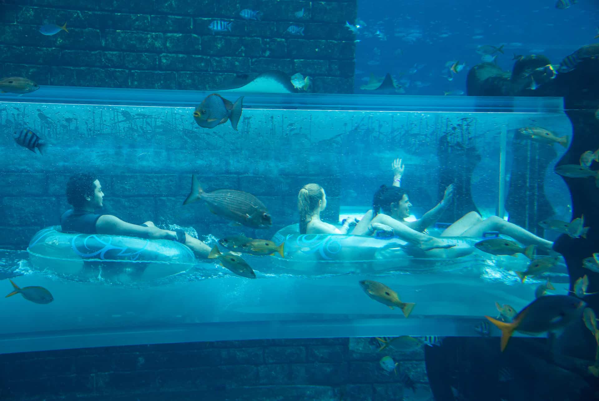 escale dubai aquaventure waterpark dubai aquaventure atlantis the palm