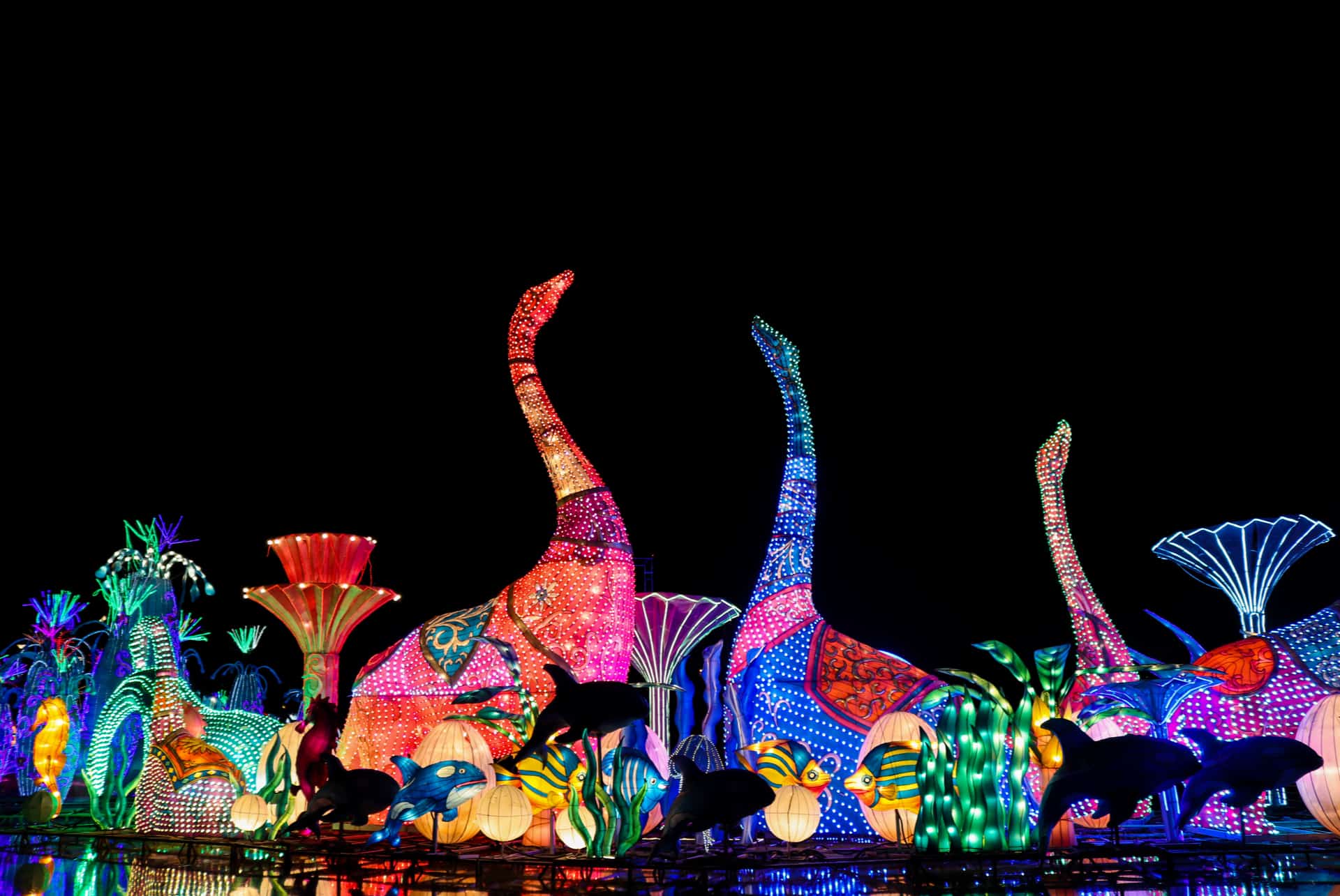 Dubai Garden Glow Dubai Garden Glow