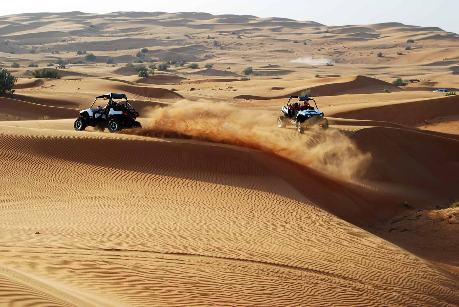 buggy desert dubai buggy desert dubai