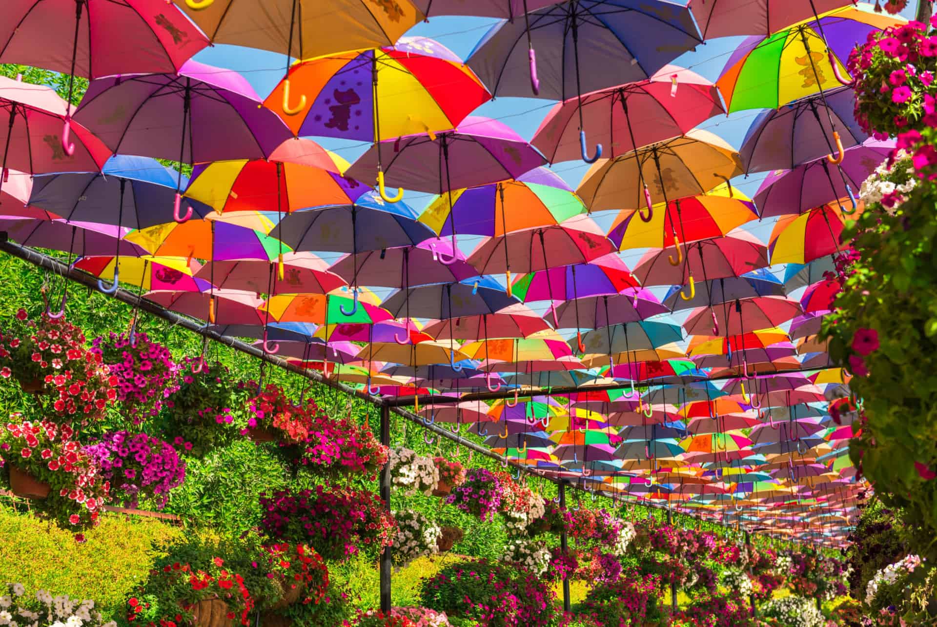 dubai garden parapluies dubai garden parapluies
