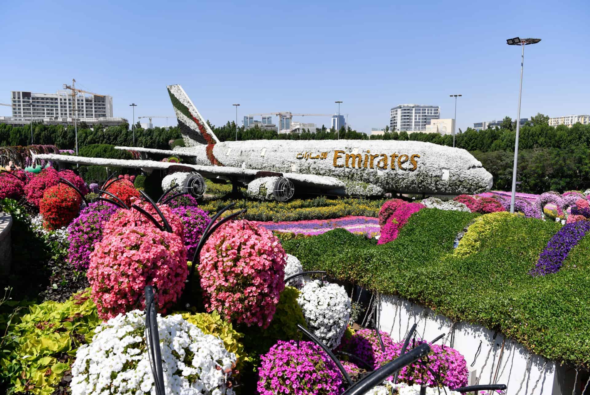 dubai miracle garden a380 dubai miracle garden a380