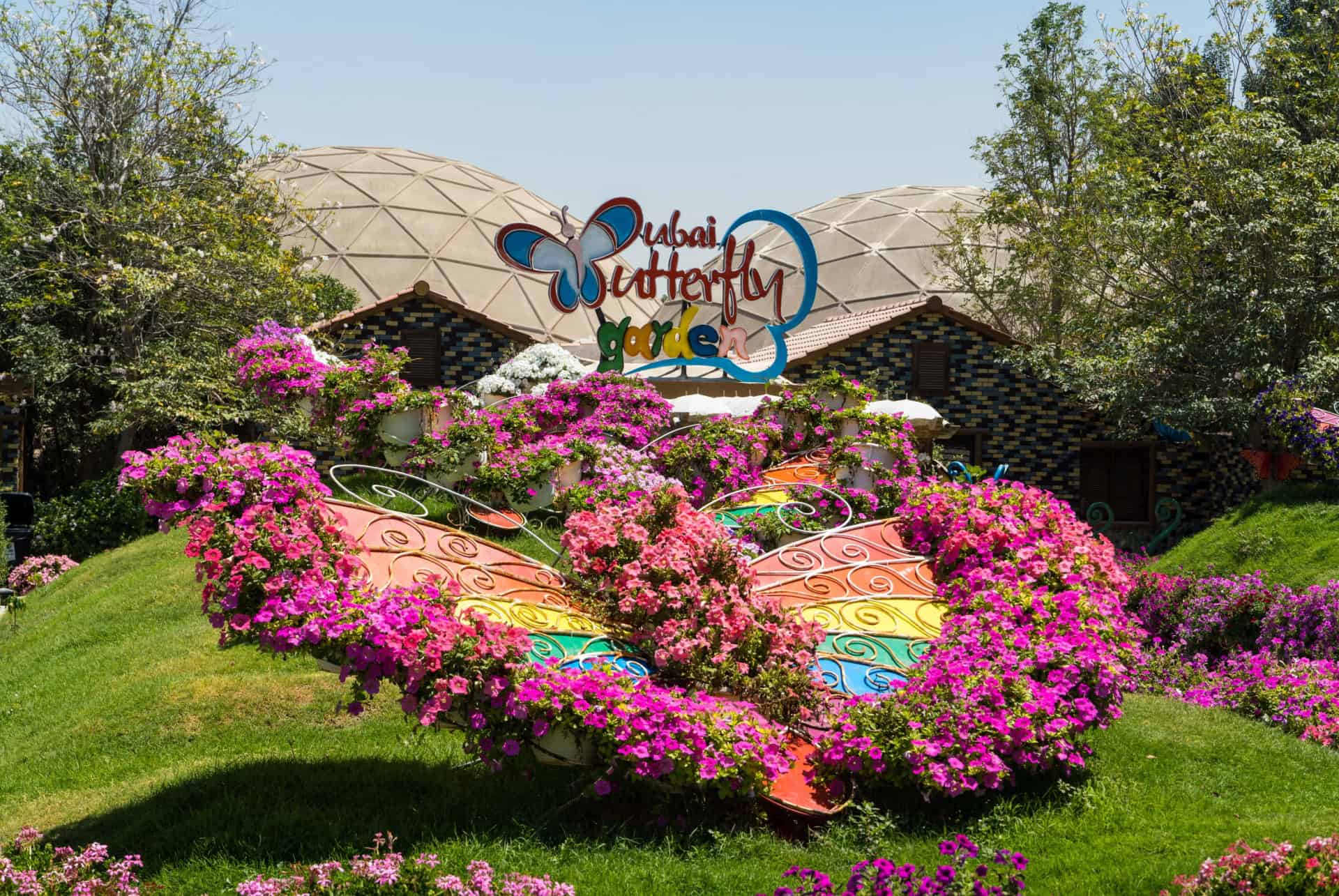 dubai butterfly garden dubai butterfly garden