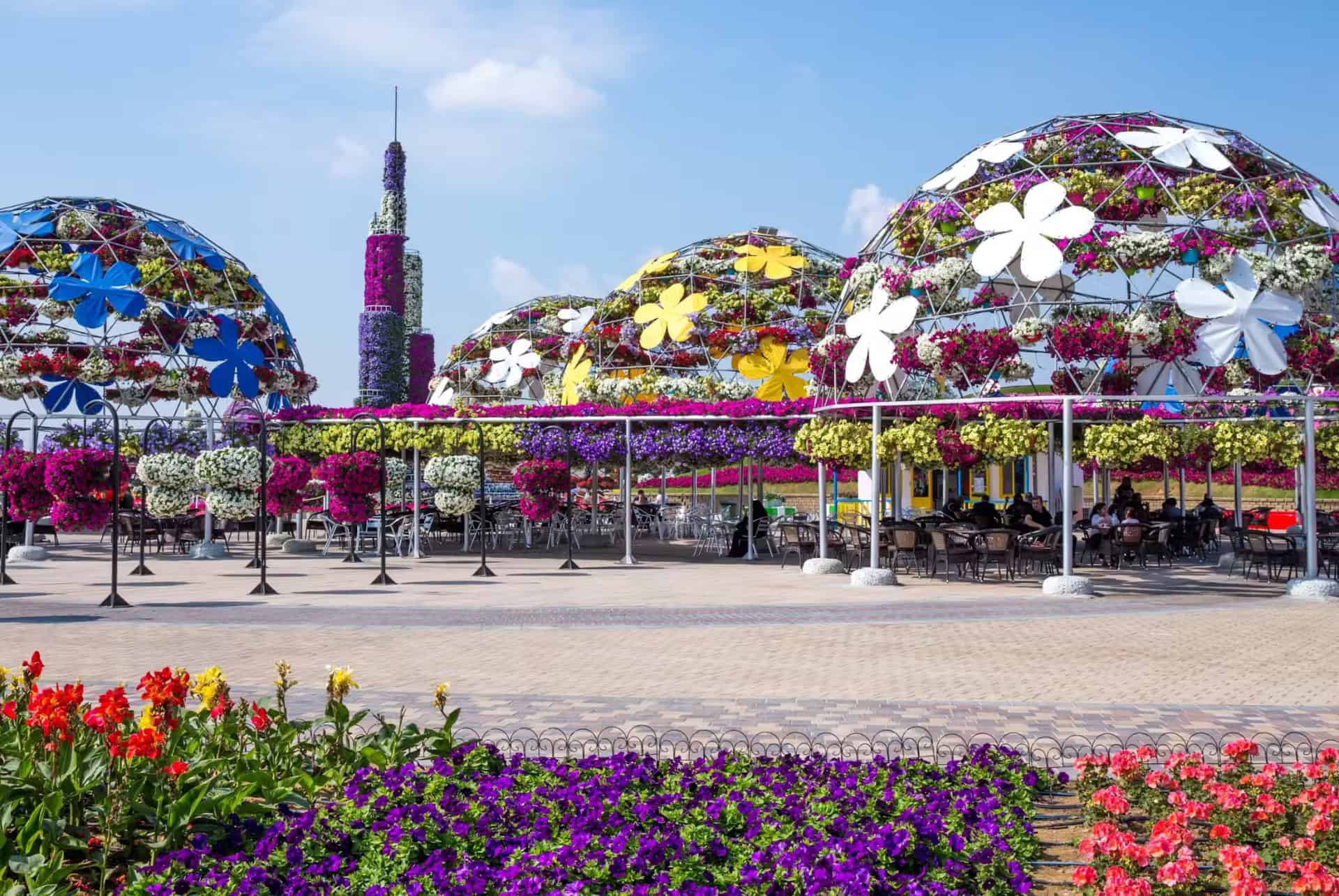 dubai miracle garden dubai miracle garden
