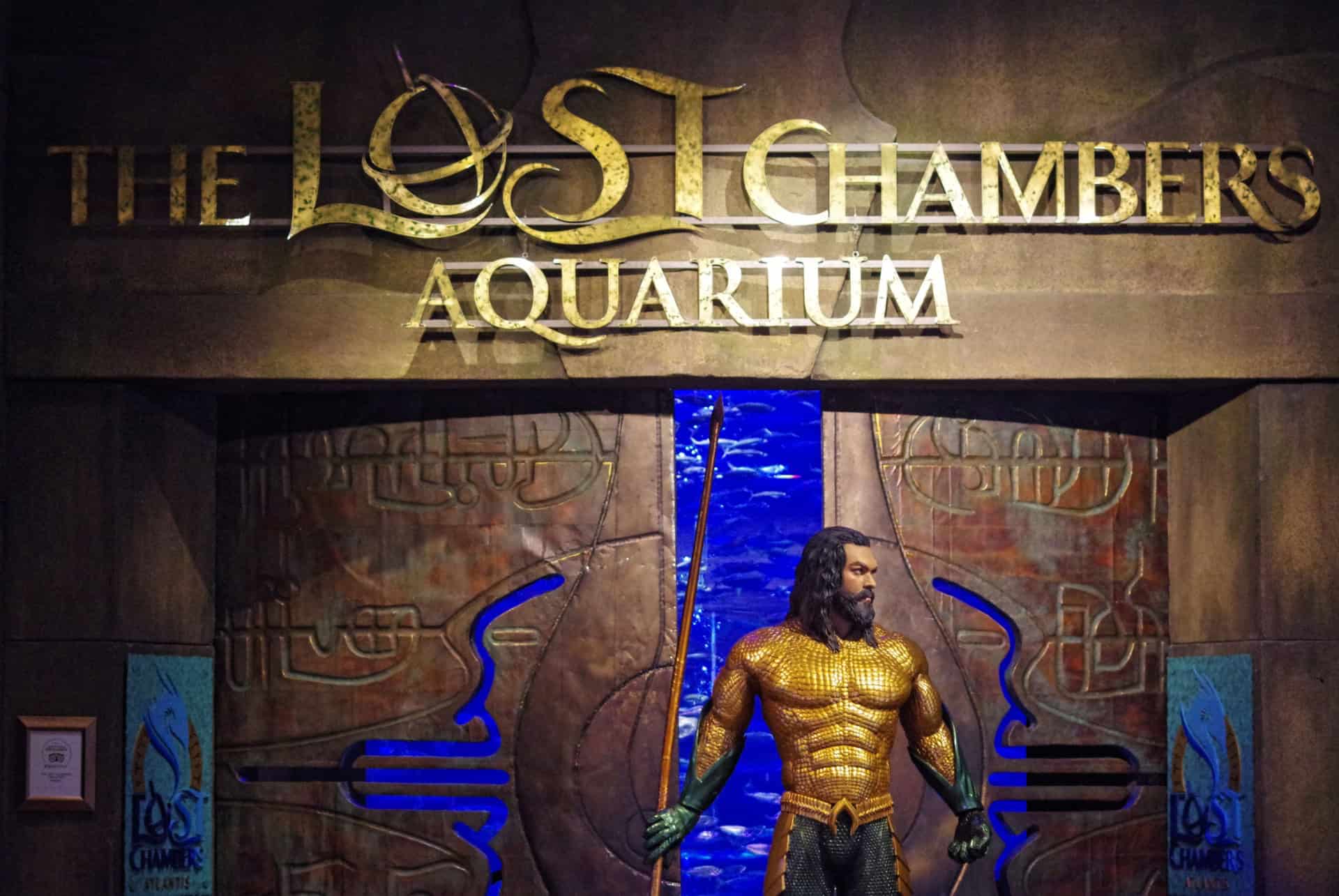 entree the lost chambers entree the lost chambers aquarium